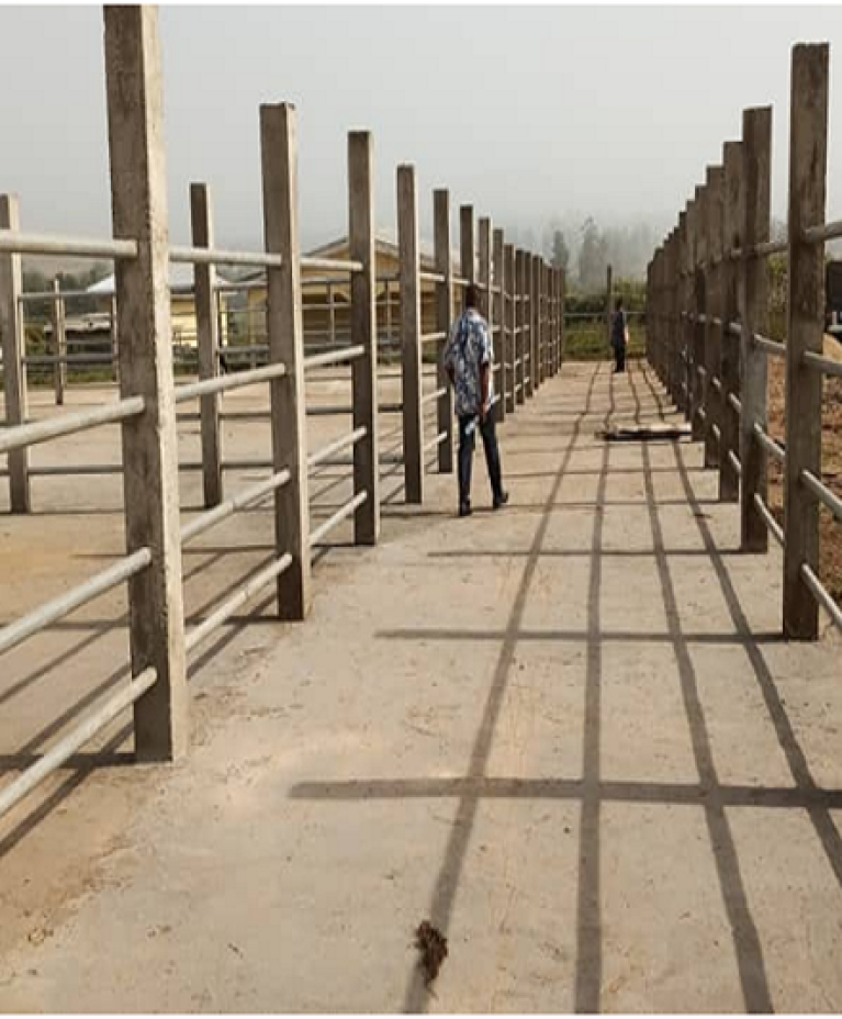 Agricultural Development